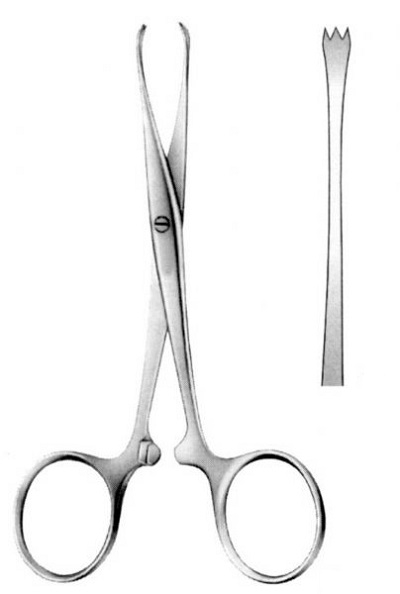 CHAPUT Artery Forceps & Tissue Seizing Forceps 13 cm