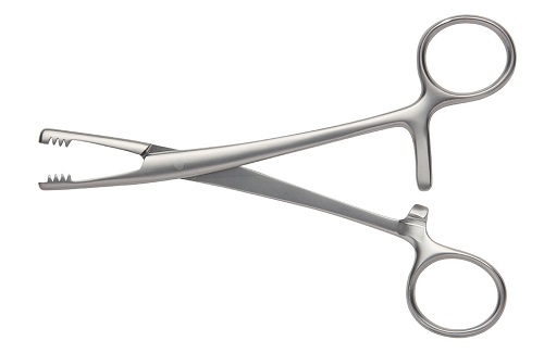 MARTIN Cartilage Forceps 19 cm