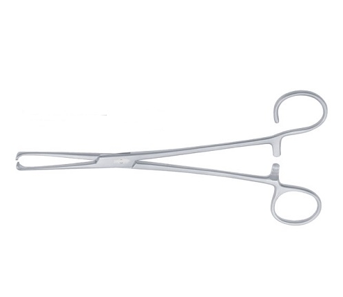 COLVER Tonsil Seizing Forceps Curved 19 cm