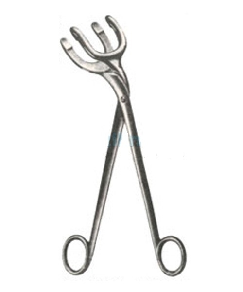 PYE-SMITH (HARRISON) Sterlizing Forceps 25 cm