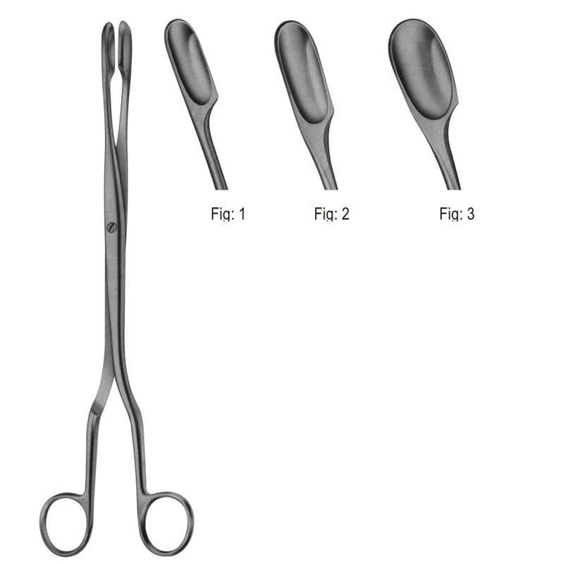 WINTER Placenta Forceps Straight fig 1 28 cm