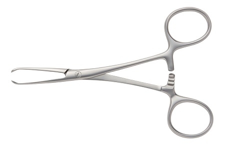 PORRIER Intestinal Forceps 2:3 Teeth 18 cm